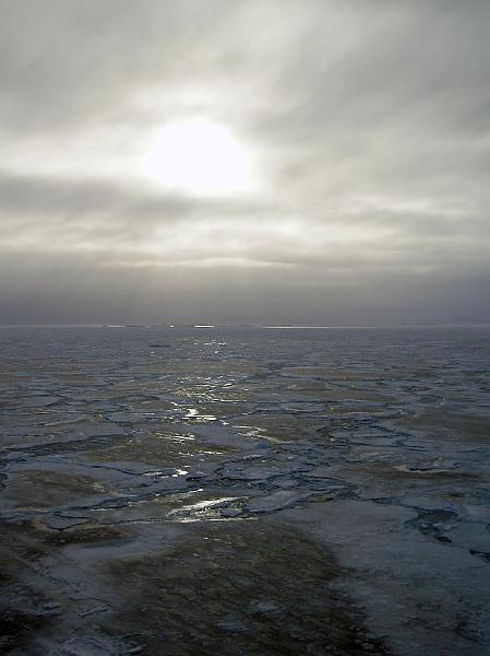 Young grey nilas landscape.jpg - OLYMPUS DIGITAL CAMERA